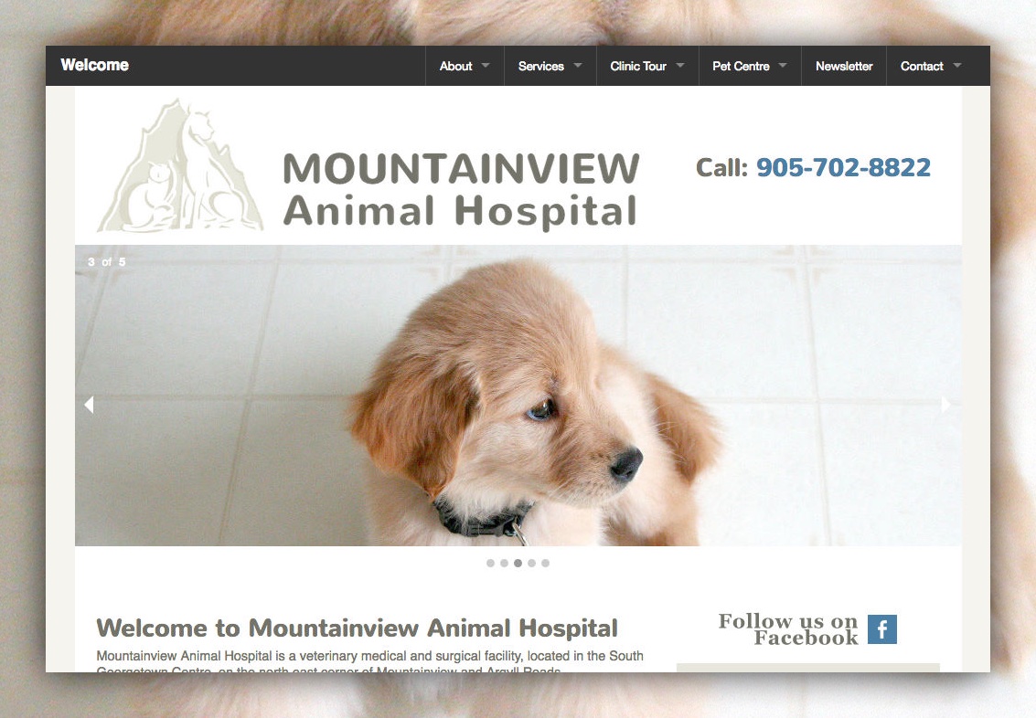 Mountainview Animal Hospital