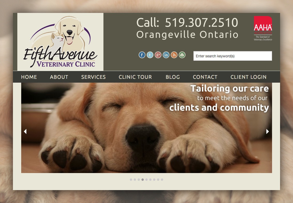 Fifth Avenue Veterinary Clinic